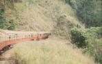 <span class="caption-caption">Tourist train Cairns to Kuranda</span>, 1997. <br />Slide, collection of <span class="caption-contributor">Cecilia Abbott</span>.