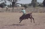 <span class="caption-caption">Rodeo, Baralaba</span>, 1960s. <br />Slide, collection of <span class="caption-contributor">Cecilia Abbott</span>.