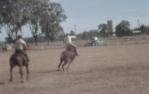 <span class="caption-caption">Rodeo, Baralaba</span>, 1960s. <br />Slide, collection of <span class="caption-contributor">Cecilia Abbott</span>.