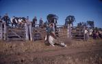 <span class="caption-caption">Rodeo, Baralaba</span>, 1976. <br />Slide, collection of <span class="caption-contributor">Cecilia Abbott</span>.