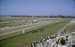 <span class="caption-caption">Eagle Farm racecourse, Ascot</span>, 1965. <br />Slide, collection of <span class="caption-contributor">Daphne Barratt</span>.