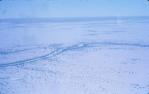 <span class="caption-caption">Quiplie area after floods</span>, 1976. <br />Slide, collection of <span class="caption-contributor">Dennis Costigan</span>.