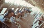 <span class="caption-caption">Shearing shed during the Clip on Thylungra Station, Quilpie Shire</span>, 1975. <br />Slide, collection of <span class="caption-contributor">Dennis Costigan</span>.