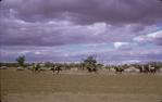 <span class="caption-caption">Thylungra station polo cross, west of Quilpie</span>, 1976. <br />Slide, collection of <span class="caption-contributor">Dennis Costigan</span>.