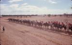 <span class="caption-caption">Polo cross grand muster at Thylungra station, west of Quilpie</span>, 1976. <br />Slide, collection of <span class="caption-contributor">Dennis Costigan</span>.