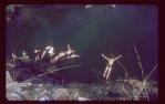 <span class="caption-caption">Teaching staff take a dive on Prince of Wales Island, Torres Strait</span>, 1965. <br />Slide, collection of <span class="caption-contributor">Elna Kerswell</span>.