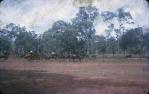 <span class="caption-caption">Bamaga races</span>, 1966. <br />Slide, collection of <span class="caption-contributor">Elna Kerswell</span>.