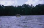 <span class="caption-caption">Daintree River</span>, 1963. <br />Slide, collection of <span class="caption-contributor">Elna Kerswell</span>.