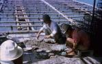 <span class="caption-caption">Pearl farm, Torres Strait</span>, 1966. <br />Slide, collection of <span class="caption-contributor">Elna Kerswell</span>.