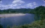 <span class="caption-caption">Daintree River</span>, 1963. <br />Slide, collection of <span class="caption-contributor">Elna Kerswell</span>.