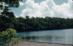 <span class="caption-caption">Lake Eacham</span>, 1959. <br />Slide, collection of <span class="caption-contributor">Edward Robertson</span>.