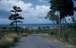 <span class="caption-caption">View from main road over ridge to west, Noosa Heads</span>, 1960. <br />Slide, collection of <span class="caption-contributor">Eric Willmott</span>.