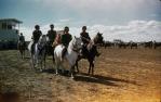 <span class="caption-caption">Blackall show</span>, 1960. <br />Slide, collection of <span class="caption-contributor">Gayle Ahearn</span>.