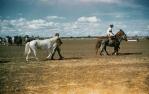 <span class="caption-caption">Blackall show</span>, 1960. <br />Slide, collection of <span class="caption-contributor">Gayle Ahearn</span>.