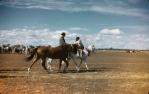 <span class="caption-caption">Blackall show</span>, 1960. <br />Slide, collection of <span class="caption-contributor">Gayle Ahearn</span>.