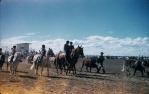 <span class="caption-caption">Blackall show</span>, 1960. <br />Slide, collection of <span class="caption-contributor">Gayle Ahearn</span>.