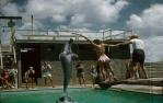 <span class="caption-caption">Porpoise pool, Coolangatta</span>, c1960s. <br />Slide, collection of <span class="caption-contributor">Gayle Ahearn</span>.
