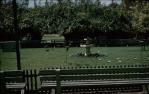 <span class="caption-caption">Bird sancturary, Currumbin</span>, c1960s. <br />Slide, collection of <span class="caption-contributor">Gayle Ahearn</span>.