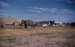 <span class="caption-caption">Wirths Circus at the edge of town, Emerald</span>, 1960. <br />Slide, collection of <span class="caption-contributor">Gayle Ahearn</span>.