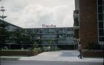 <span class="caption-caption">Princeton Hotel, Surfers Paradise</span>, c1960s. <br />Slide, collection of <span class="caption-contributor">Gayle Ahearn</span>.