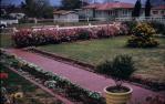 <span class="caption-caption">Carnival of Flowers 1st prize garden, Toowoomba</span>, 1960. <br />Slide, collection of <span class="caption-contributor">Gayle Ahearn</span>.