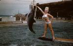 <span class="caption-caption">Porpoise pool, Coolangatta</span>, c1960s. <br />Slide, collection of <span class="caption-contributor">Gayle Ahearn</span>.
