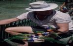 <span class="caption-caption">Currumbin bird sanctuary</span>, 1962. <br />Slide, collection of <span class="caption-contributor">Gayle Ahearn</span>.