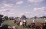 <span class="caption-caption">Cattle walk-by at the show, Barcaldine</span>, 1962. <br />Slide, collection of <span class="caption-contributor">Gladys Hartland</span>.
