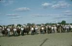 <span class="caption-caption">Bull judging line-up at the show, Barcaldine</span>, 1962. <br />Slide, collection of <span class="caption-contributor">Gladys Hartland</span>.