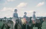 <span class="caption-caption">Prize-winning horses at the Barcaldine show</span>, 1962. <br />Slide, collection of <span class="caption-contributor">Gladys Hartland</span>.