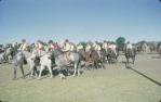 <span class="caption-caption">The Barcaldine show</span>, 1962. <br />Slide, collection of <span class="caption-contributor">Gladys Hartland</span>.