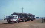 <span class="caption-caption">Elephants on a circus truck, south of Childers</span>, 1979. <br />Slide, collection of <span class="caption-contributor">George Moller</span>.