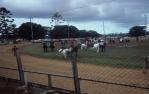 <span class="caption-caption">Showground, Childers</span>, 1978. <br />Slide, collection of <span class="caption-contributor">George Moller</span>.