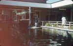 <span class="caption-caption">Entrance to Lennon's Hotel, Toowoomba</span>, 1959. <br />Slide, collection of <span class="caption-contributor">Heatherbell Mellor</span>.