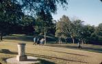 <span class="caption-caption">Webb Park, Toowoomba</span>, 1958. <br />Slide, collection of <span class="caption-contributor">Heatherbell Mellor</span>.