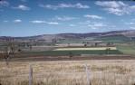 <span class="caption-caption">Wheat fields outside Toowoomba</span>, 1959. <br />Slide, collection of <span class="caption-contributor">Heatherbell Mellor</span>.