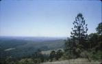 <span class="caption-caption">Halfway between Dalby and Kingaroy, Bunya Mountains National Park</span>, 1981. <br />Slide, collection of <span class="caption-contributor">John Boult</span>.