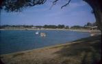 <span class="caption-caption">Maroochy River at Cotton Tree</span>, 1964. <br />Slide, collection of <span class="caption-contributor">John Boult</span>.