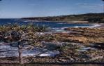 <span class="caption-caption">Coolum Beach Headland</span>, 1966. <br />Slide, collection of <span class="caption-contributor">John Boult</span>.