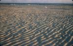 <span class="caption-caption">On the calm side, Bribie Island</span>, 1960. <br />Slide, collection of <span class="caption-contributor">John Boult</span>.
