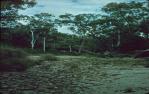 <span class="caption-caption">Isla Gorge National Park, Taroom Shire</span>, 1979. <br />Slide, collection of <span class="caption-contributor">John Boult</span>.