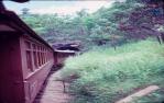 <span class="caption-caption">Kuranda Railway</span>, 1982. <br />Slide, collection of <span class="caption-contributor">John Boult</span>.