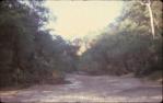 <span class="caption-caption">Robinson Gorge,  Expedition National Park near Taroom</span>, 1981. <br />Slide, collection of <span class="caption-contributor">John Boult</span>.