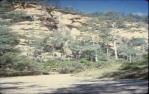 <span class="caption-caption">Robinson Gorge,  Expedition National Park near Taroom</span>, 1981. <br />Slide, collection of <span class="caption-contributor">John Boult</span>.