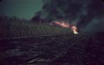 <span class="caption-caption">Cane fire, Bundaberg</span>, 1965. <br />Slide, collection of <span class="caption-contributor">Judith Hodgkinson</span>.