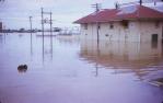 <span class="caption-caption">Gasworks during flood, Bundaberg</span>, 1971. <br />Slide, collection of <span class="caption-contributor">John Hampson</span>.