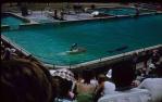 <span class="caption-caption">Saltwater pools, Coolangatta</span>, 1960. <br />Slide, collection of <span class="caption-contributor">John Hampson</span>.