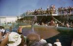 <span class="caption-caption">Saltwater pools, Coolangatta</span>, 1960. <br />Slide, collection of <span class="caption-contributor">John Hampson</span>.