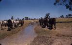 <span class="caption-caption">Bore drains, carrying water flowing from artesian bores, were cleaned annually, Normanton</span>, 1973. <br />Slide, collection of <span class="caption-contributor">John Hindmarsh</span>.