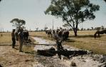 <span class="caption-caption">Bore drains, carrying water flowing from artesian bores, were cleaned annually, Normanton</span>, 1973. <br />Slide, collection of <span class="caption-contributor">John Hindmarsh</span>.